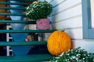 Déco d'Halloween à fabriquer : citrouilles peintes, gothique chic et récup' avant le 31 octobre